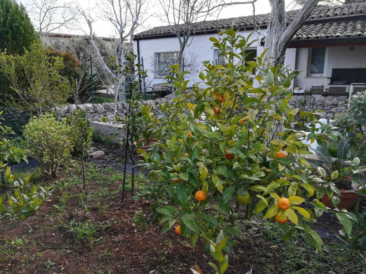 מודיקה Casa Degli Avi Don Neli, Immersa Nella Natura מראה חיצוני תמונה