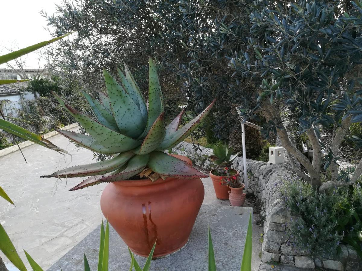 מודיקה Casa Degli Avi Don Neli, Immersa Nella Natura מראה חיצוני תמונה