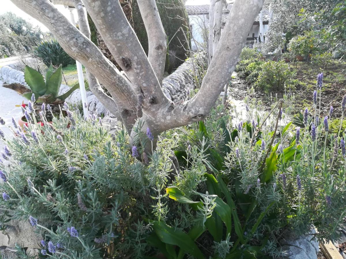 מודיקה Casa Degli Avi Don Neli, Immersa Nella Natura מראה חיצוני תמונה