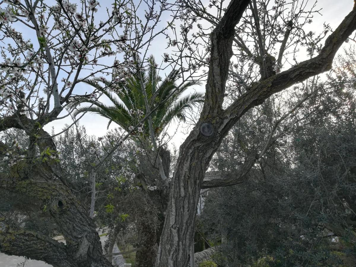 מודיקה Casa Degli Avi Don Neli, Immersa Nella Natura מראה חיצוני תמונה