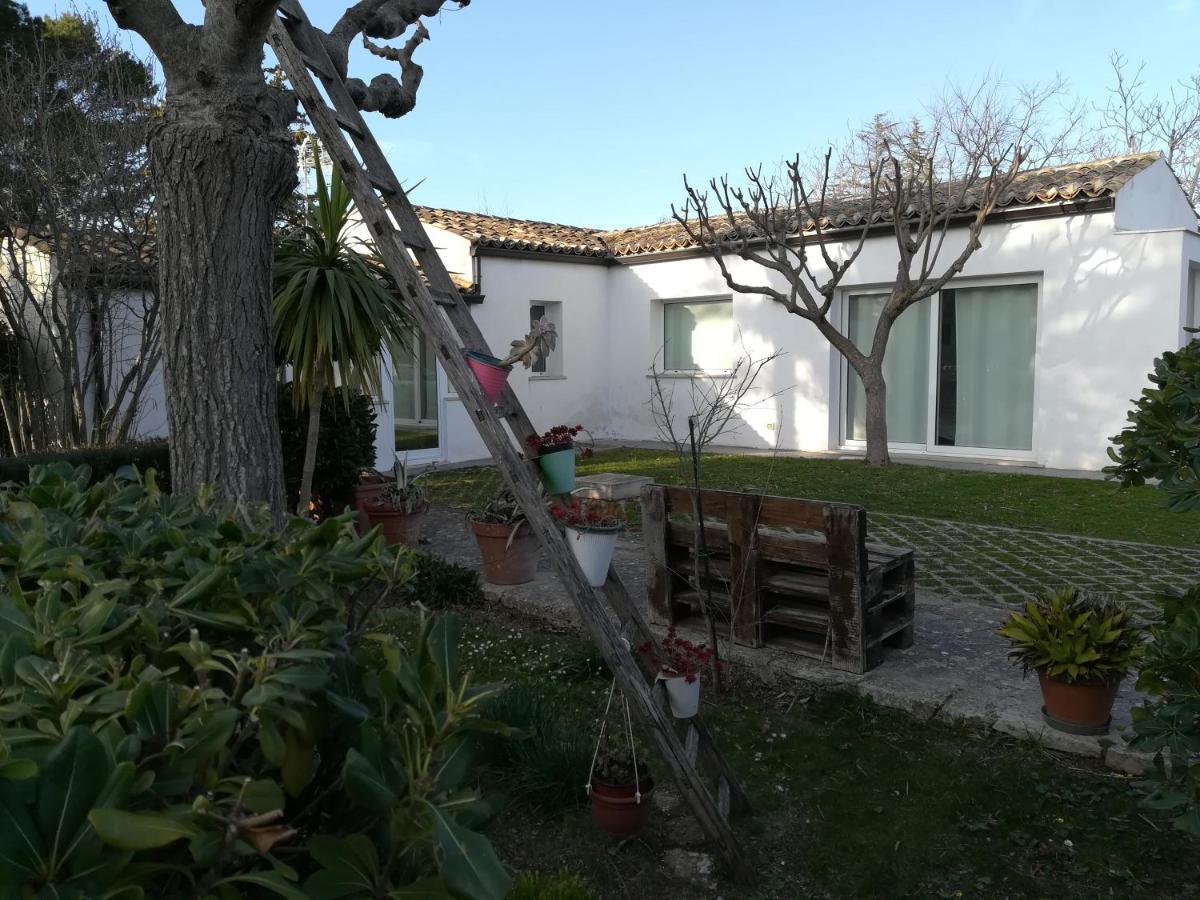 מודיקה Casa Degli Avi Don Neli, Immersa Nella Natura מראה חיצוני תמונה